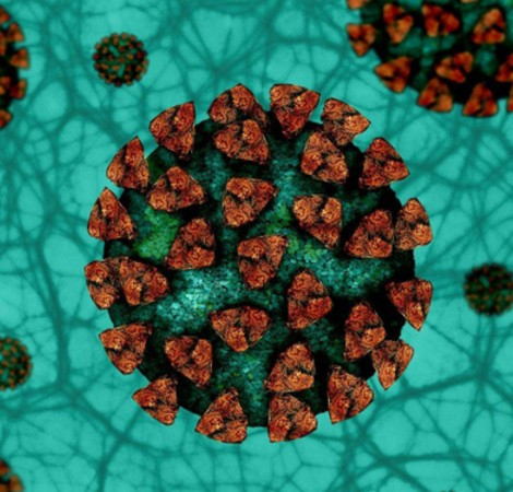 Gastrointestinal Manifestations of Infection with the Novel Coronavirus