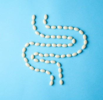 What is the gut microbiome: Why is its balance so important for the body, and what influences it?