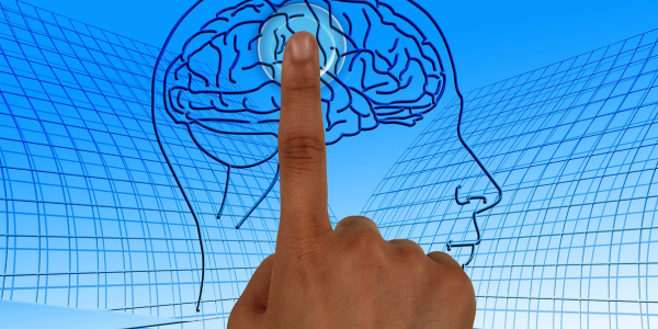 Ursachen des Reizdarmsyndroms