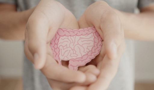 Der Darm als zweites Gehirn