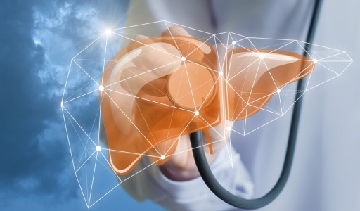 The gut-liver axis: How gut health influences overall well-being