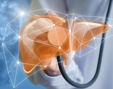 The gut-liver axis: How gut health influences overall well-being