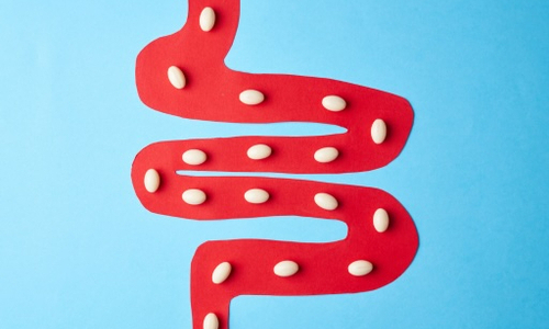 Prebiotics, Probiotics, and Synbiotics: Effective tools for restoring gut health. The role of sorbents in complex therapy