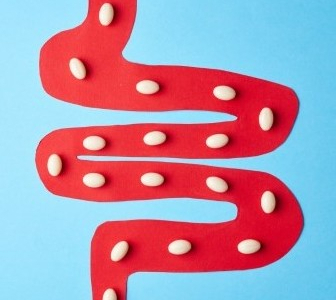 Prebiotics, Probiotics, and Synbiotics: Effective tools for restoring gut health. The role of sorbents in complex therapy