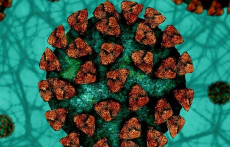 Gastrointestinal Manifestations of Infection with the Novel Coronavirus