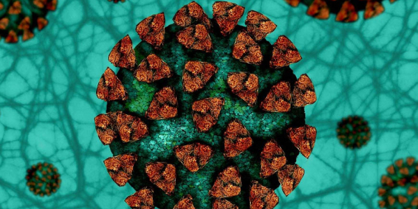 Gastrointestinale Manifestationen bei einer Infektion mit dem neuartigen Coronavirus