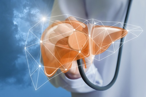 The gut-liver axis: How gut health influences overall well-being