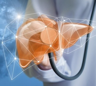 The gut-liver axis: How gut health influences overall well-being