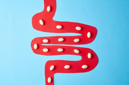 Prebiotics, Probiotics, and Synbiotics: Effective tools for restoring gut health. The role of sorbents in complex therapy