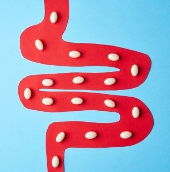 Prebiotics, Probiotics, and Synbiotics: Effective tools for restoring gut health. The role of sorbents in complex therapy